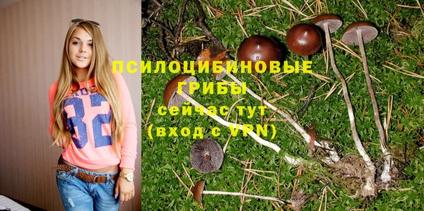 амф Володарск