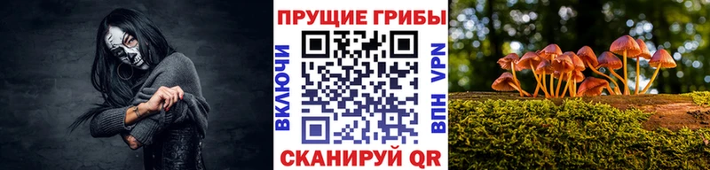 Псилоцибиновые грибы ЛСД  даркнет клад  Дубовка  даркнет сайт 