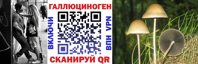 Галлюциногенные грибы GOLDEN TEACHER Дубовка